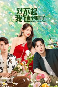 Xin Lỗi Lỡ Đụng Phải Em Rồi