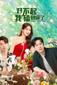 Xin Lỗi Lỡ Đụng Phải Em Rồi