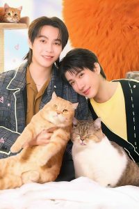 Đổi Tình Lấy Mèo